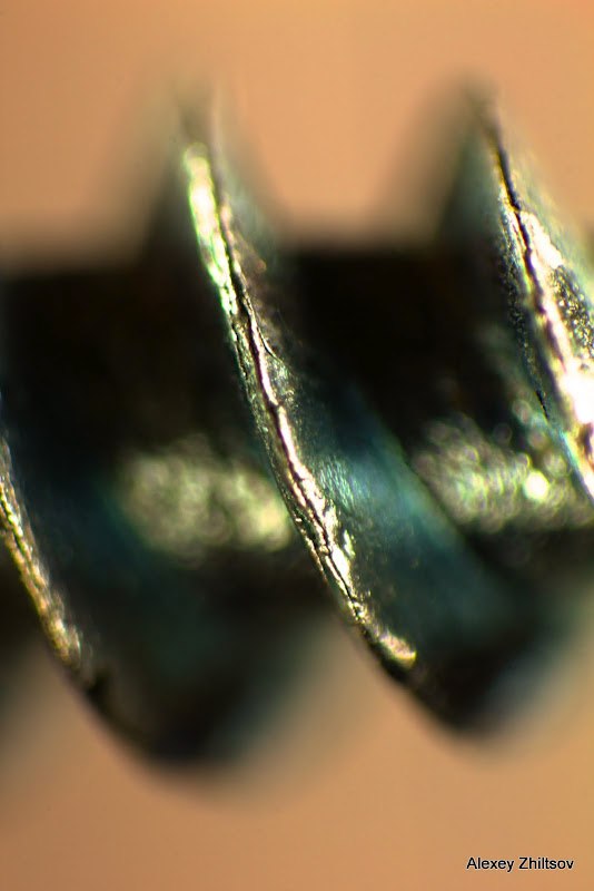 Алексей Life | Москва