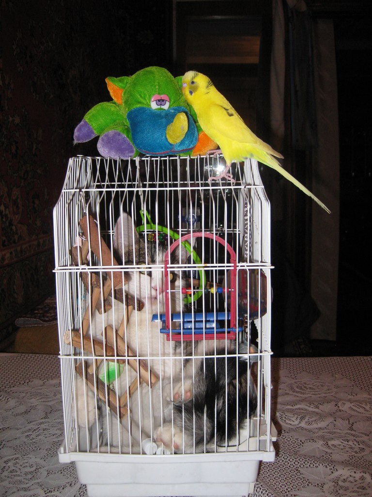 Анастасия Акимова | Златоуст