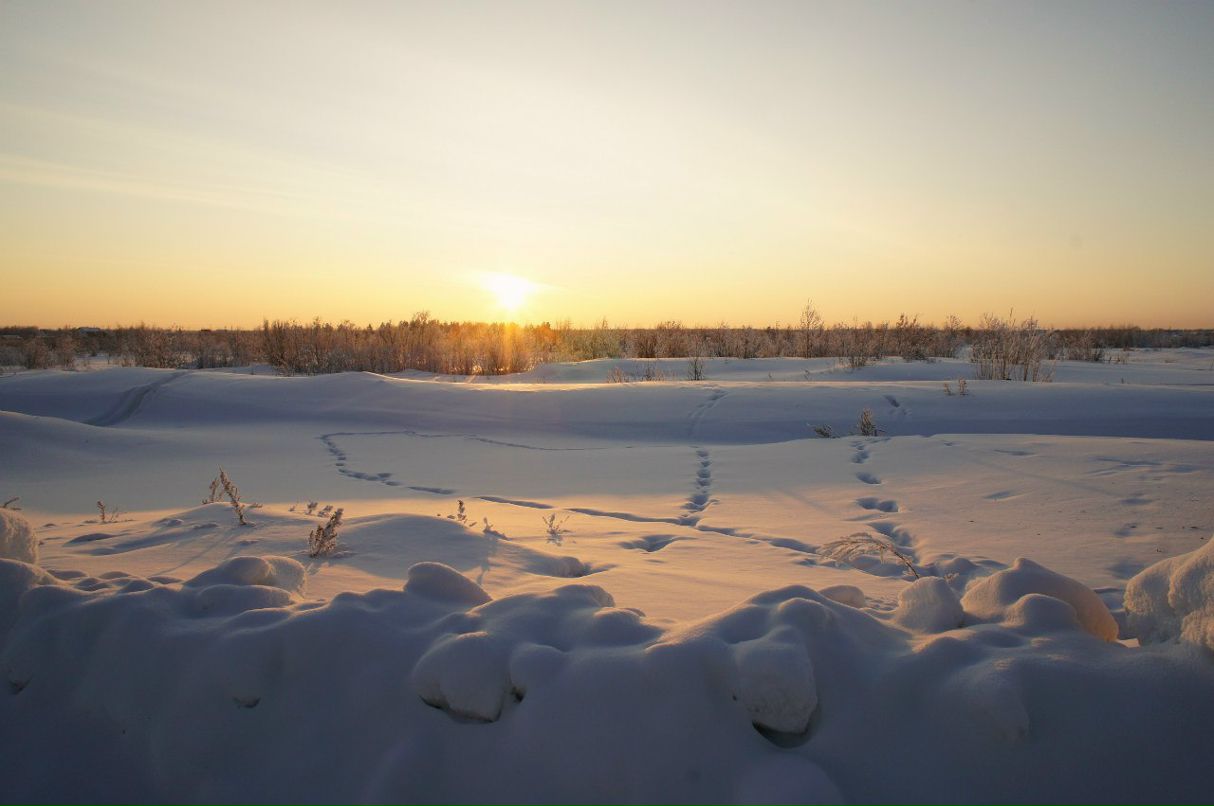 Радик Рафиков | Сургут