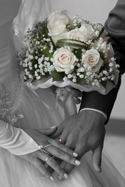 Елена Аникина | Архангельск