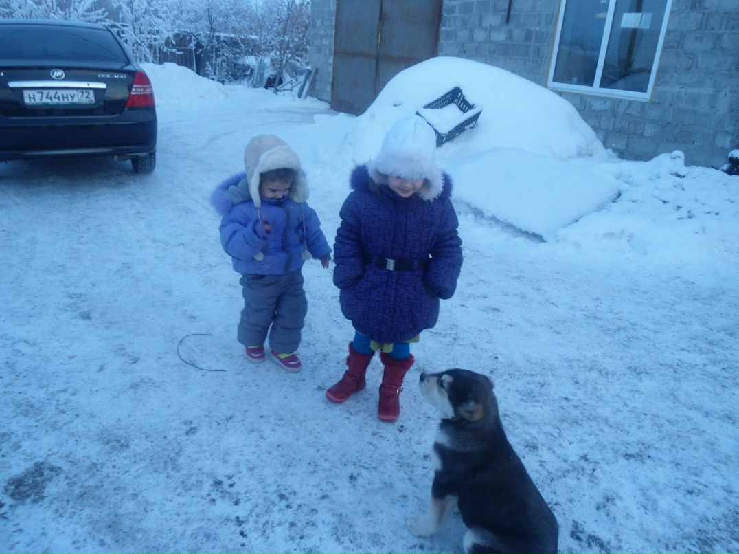 Arshak Manukyan | Тюмень