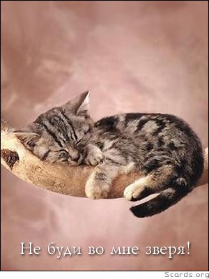 №7, Хижняк Анастасия-Павловна №7, Хижняк Анастасия-Павловна