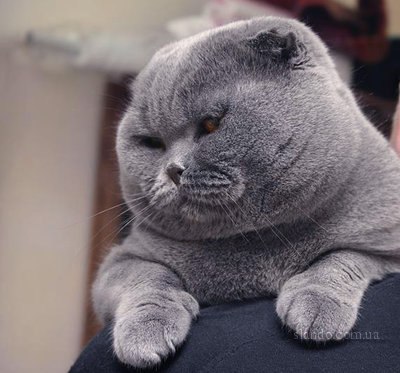 Дмитрий Иванов | Донецк