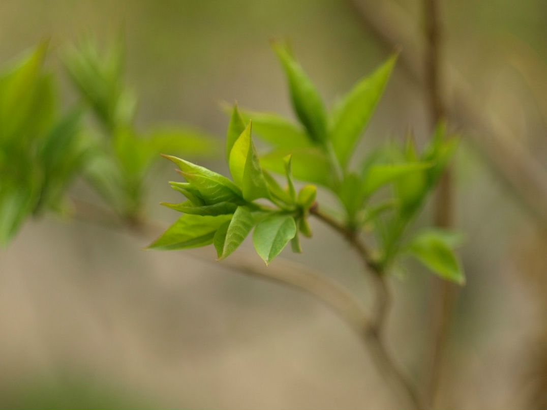 Jorj Dyachek | Одесса