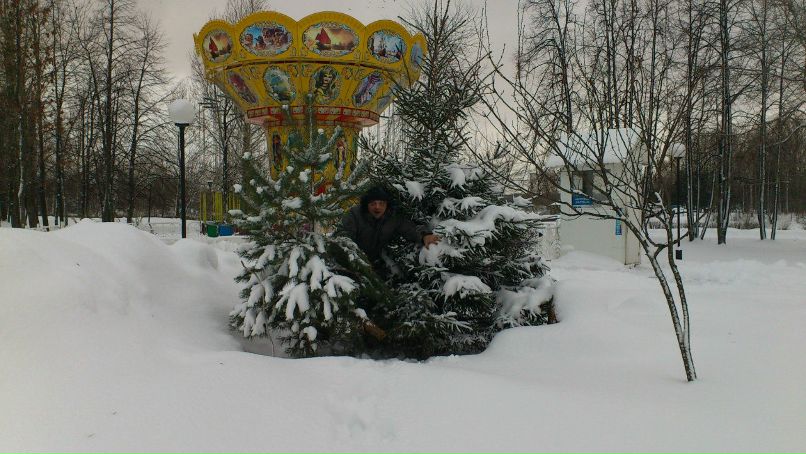 Владимир Рыбас | Ярославль