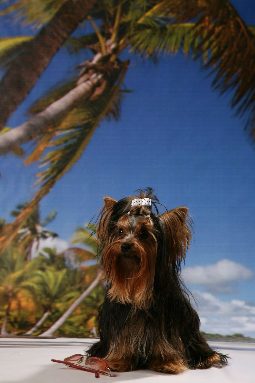 Александра Бабикова | Киров