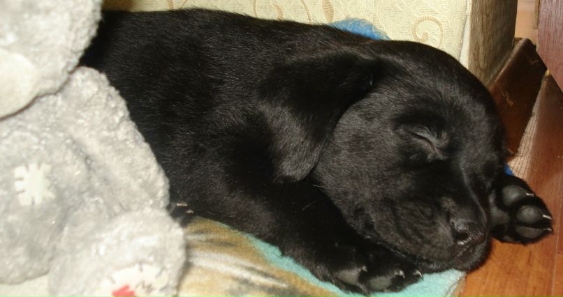 Ирина Гилёва | Томск