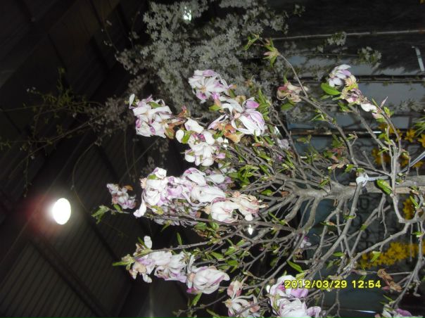 №19, Сергей Погосян serg, 34 года, Киев №19, Сергей Погосян serg, 34 года, Киев