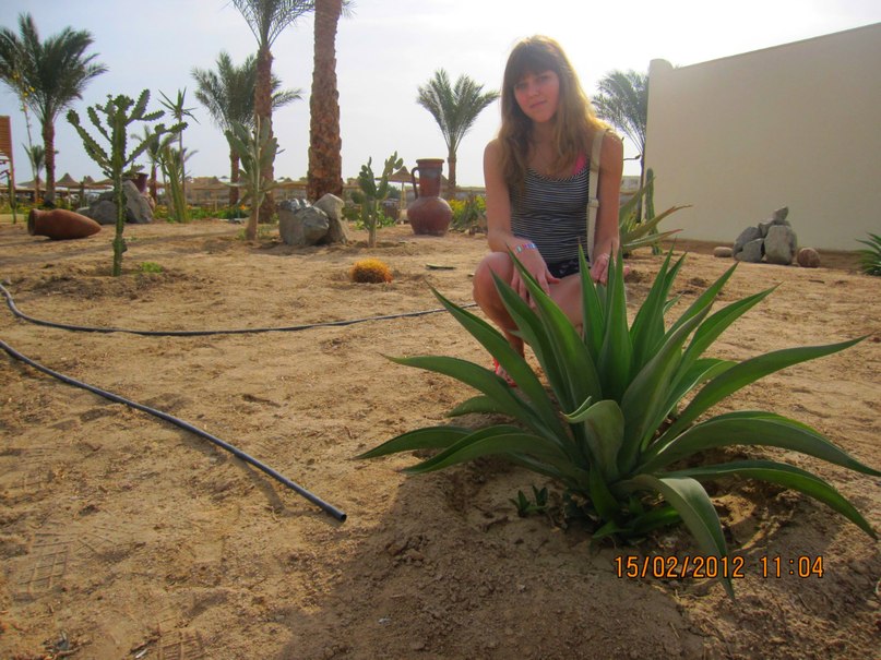 Юлия Волкова | Шарковщина