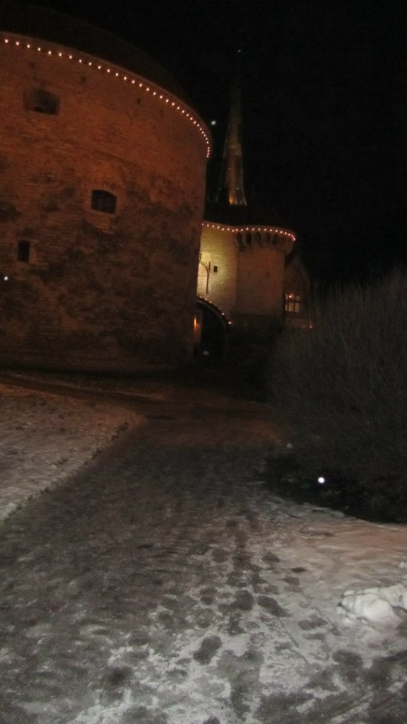 Светлана Румянцева | Санкт-Петербург