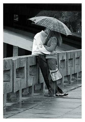 Александер Седой | Сумы