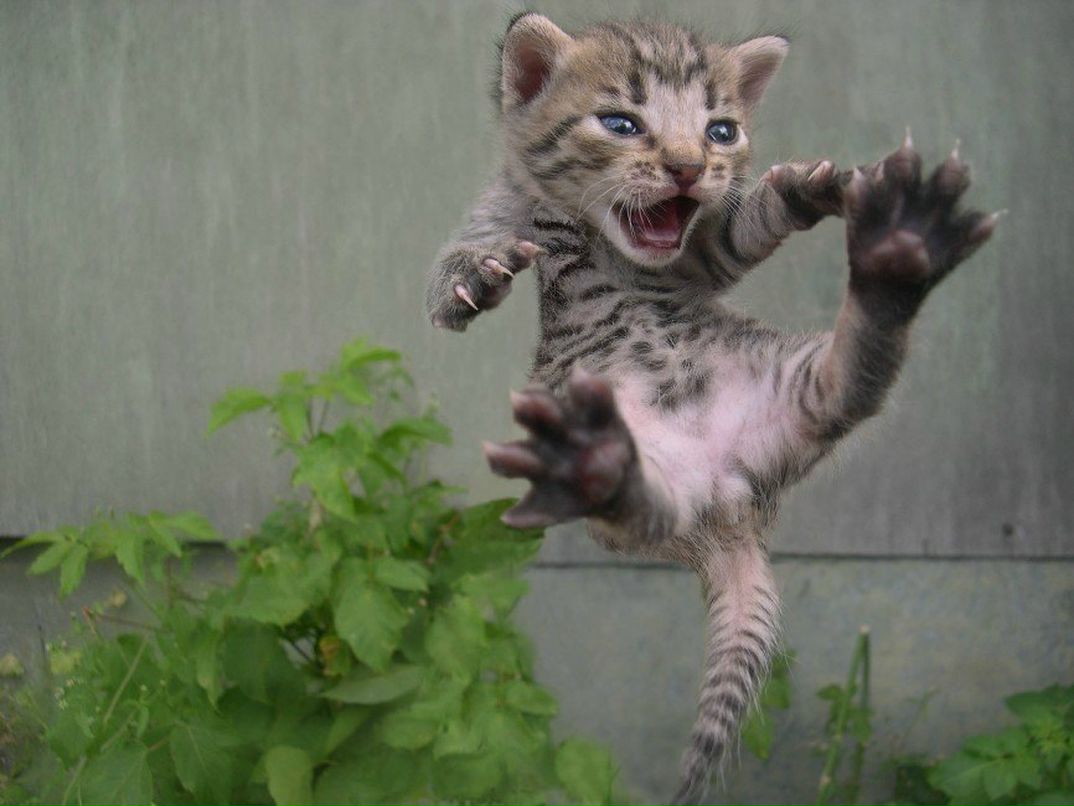 Оксана Мухина | Архангельск