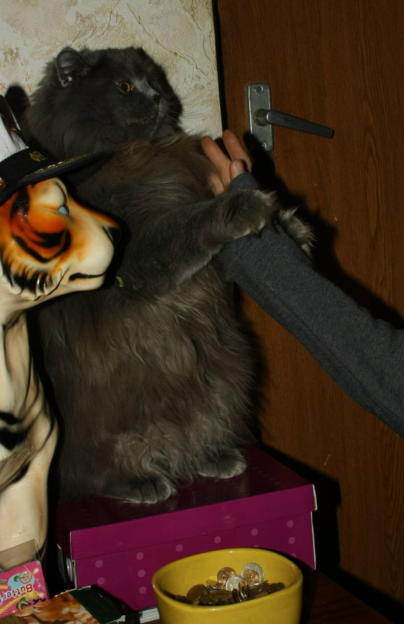 Павел Мурыгин Андреевич | Москва