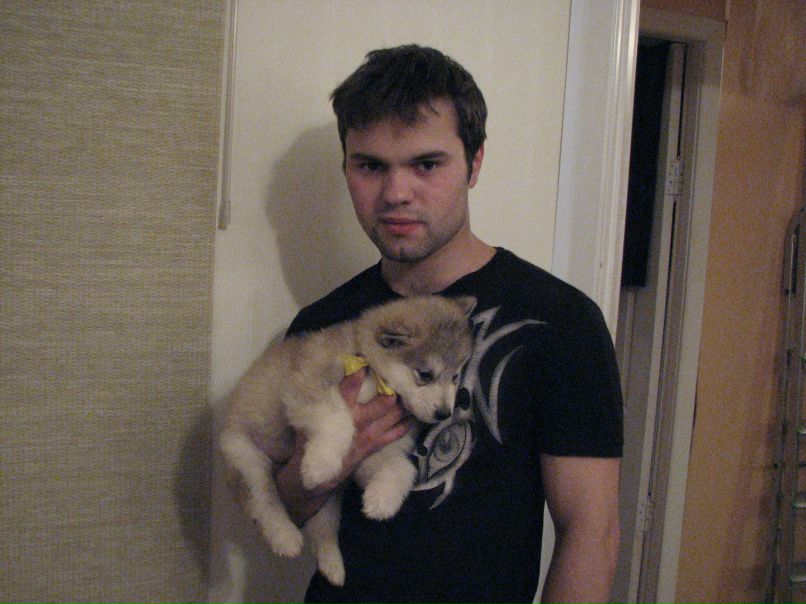 Никита Семьянов | Новосибирск