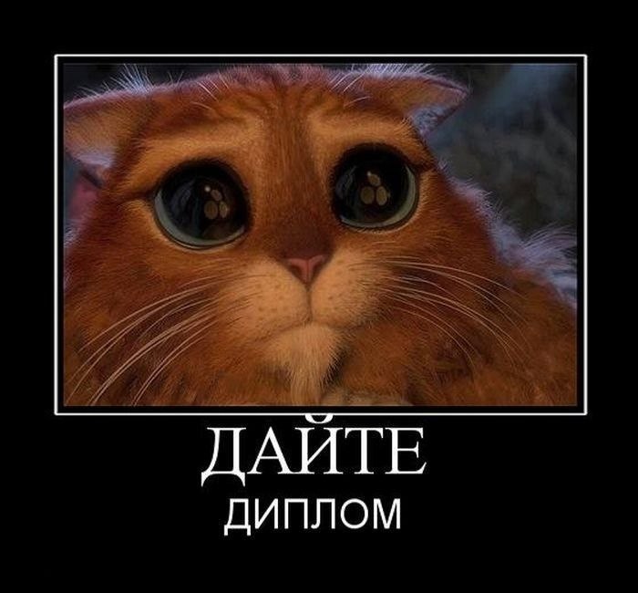 Ирина Чалая | Киев