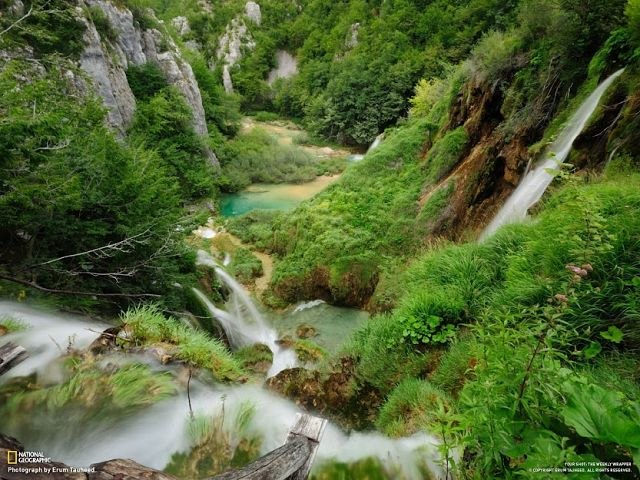 Екатерина Амирова | Москва