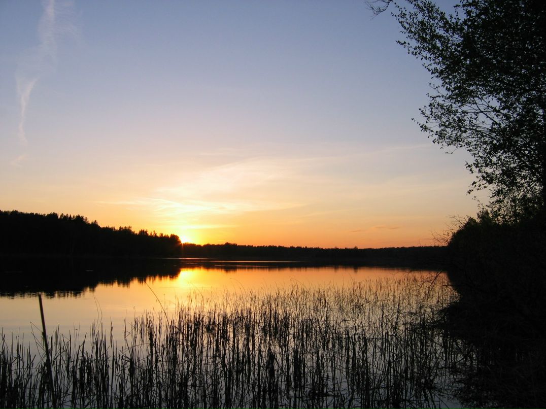 Роман Меркушев Григорьевич | Минск
