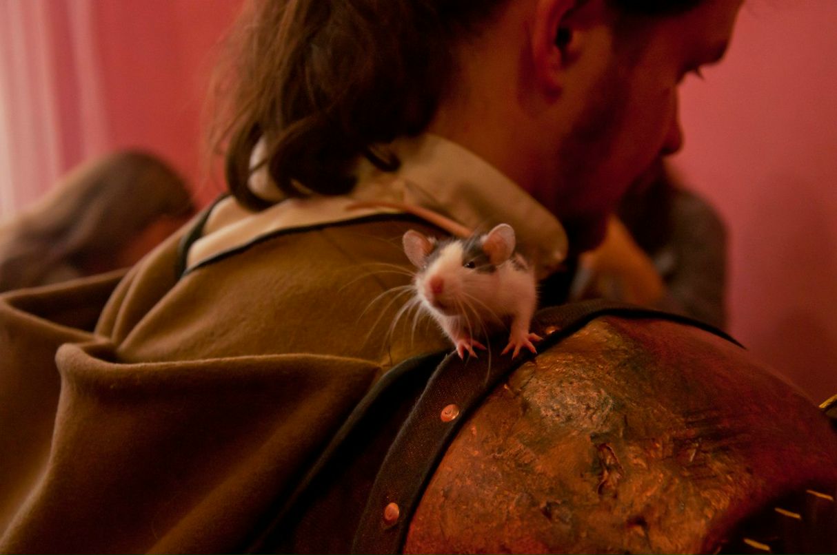 Юрий Захаров | Нижний Новгород