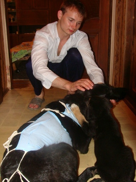 №81, Антон Замахов, Москва №81, Антон Замахов, Москва