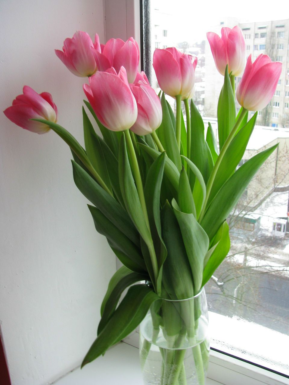 Татьяна Гладецкая | Киев