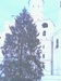 Роман Шилов фотография #46 (источник - https://vk.com/id144593637)