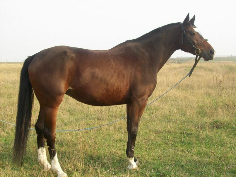 Владимир Ведерников | Санкт-Петербург