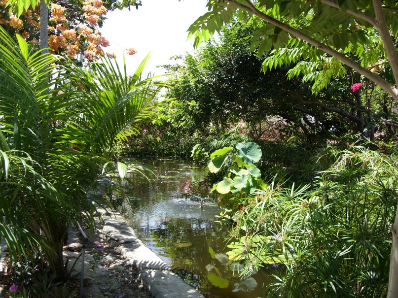 Anna Abramova | Москва