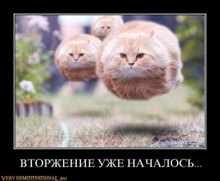 Манёк Мальцева | Москва