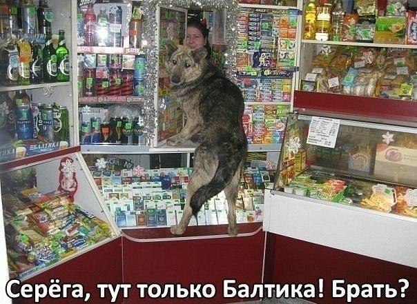 Сергей Николаев | Москва