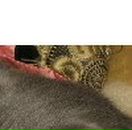 Юлия Тюликова | Ростов-на-Дону