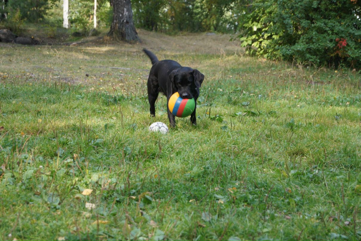 Юлия Попова | Екатеринбург