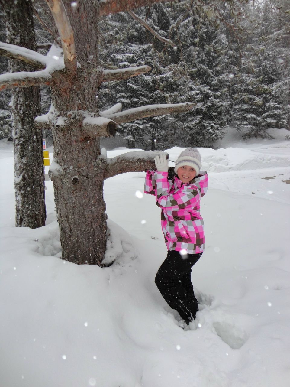 Диана Гипке | Nürnberg