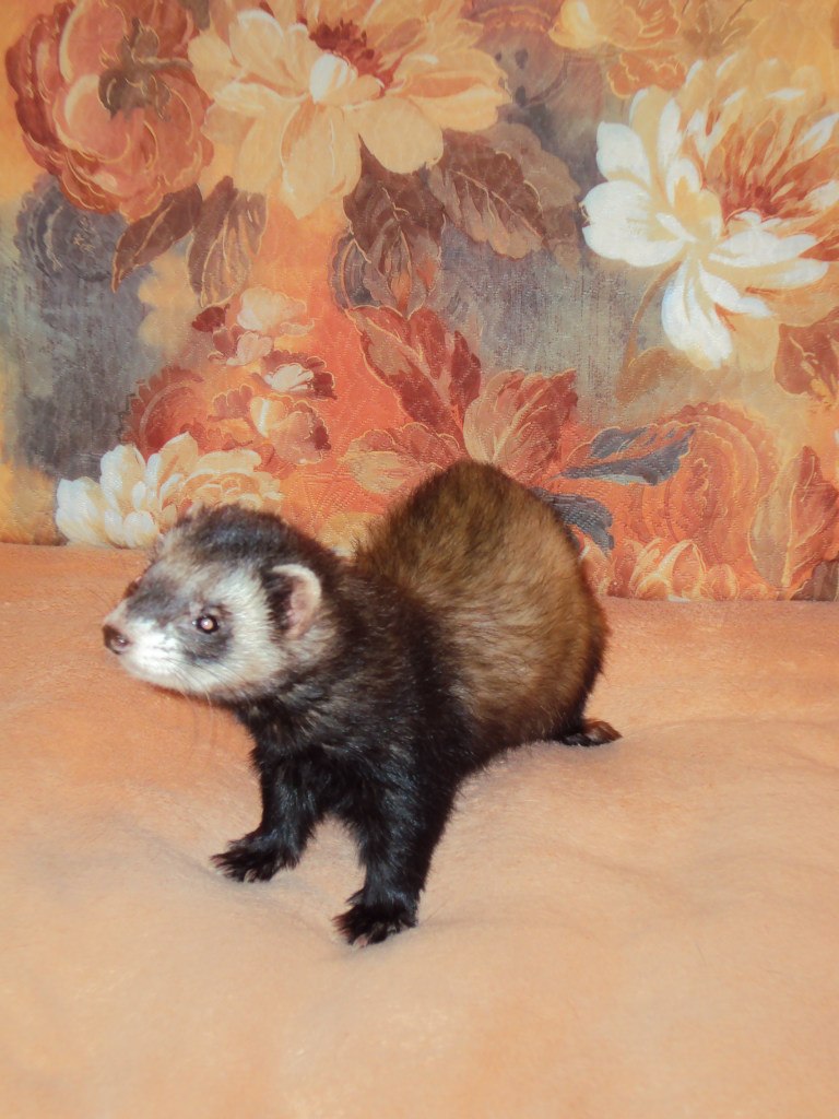 Ирина Солонина | Москва