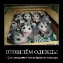 Фотография Романова Екатерина
