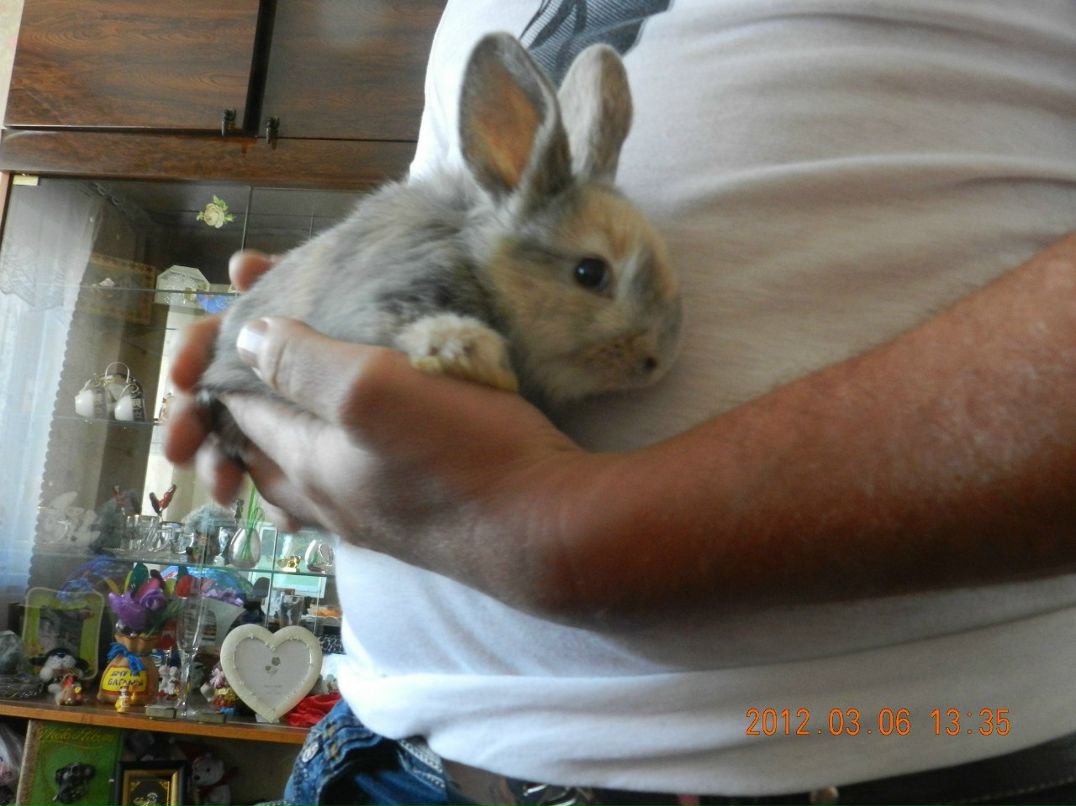 Светлана Бикмаева | Выборг