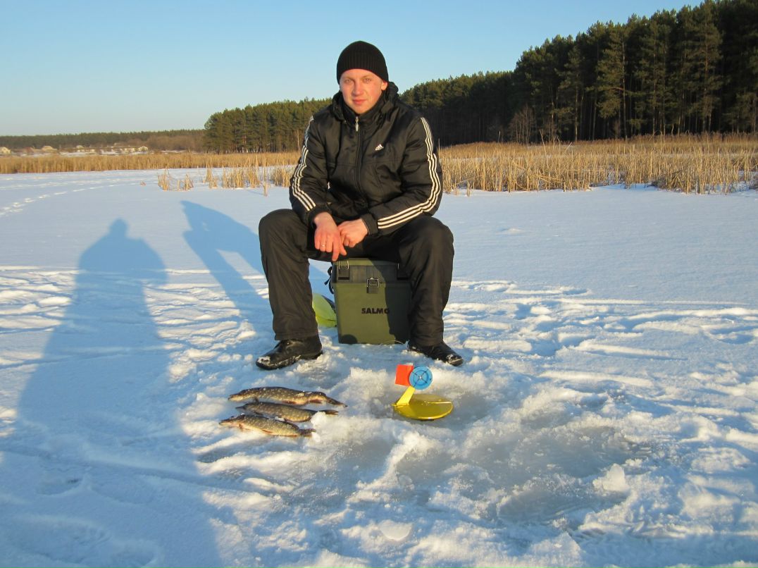 Василий Белошицкий | Радомышль