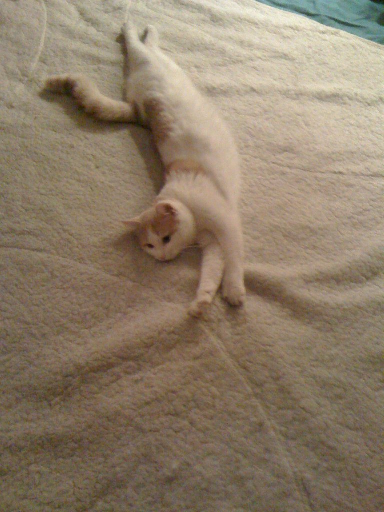 Майя Матисова ツemerald butterflyツ | Уфа