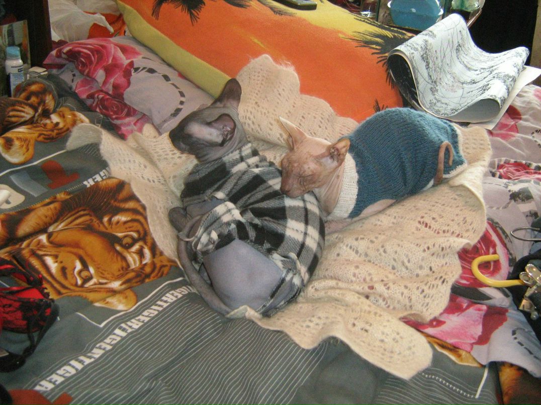 Кристина Сенчугова ♥^√V''^√\√V''^√\♥ | Владимир