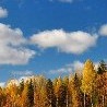 №89, Наталья Аджигитова, 58 лет, Астана №89, Наталья Аджигитова, 58 лет, Астана