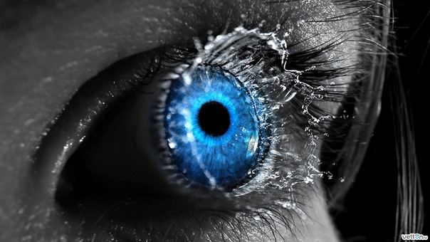 №20, Коля Дембицкий №20, Коля Дембицкий