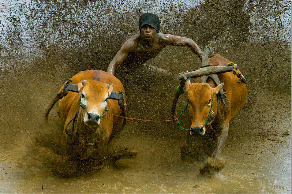 Sergiusz Waśko | Rybnik