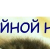 №31 Инга Нива 14.06.1975: профиль, фото, статус - ВКонтакте