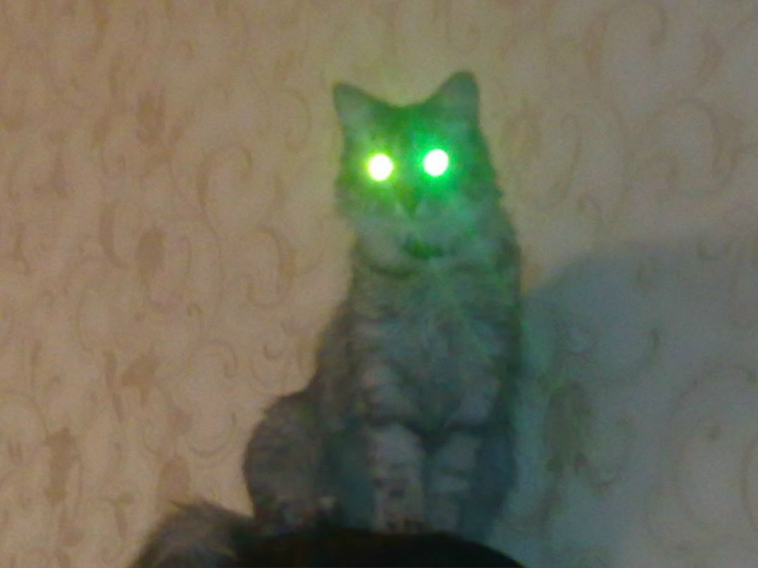 Vetal Карепин | Сетище