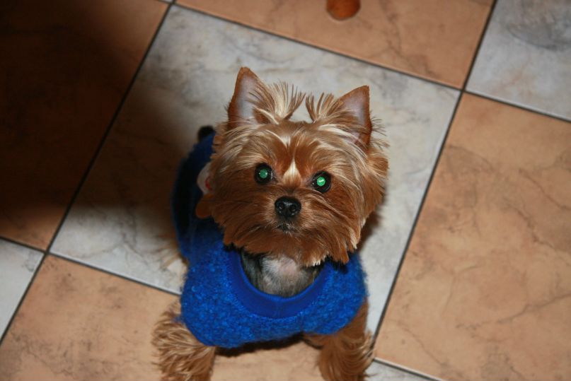 Олечка Титова princessa | Москва