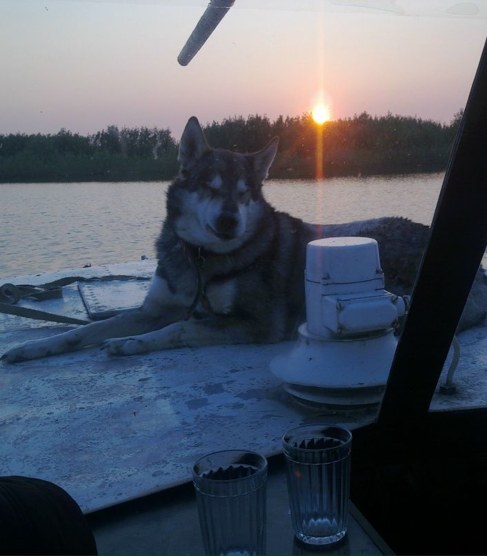 Виталий Смолев | Печора