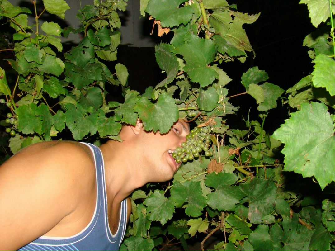 Иван Воробьев | Санкт-Петербург