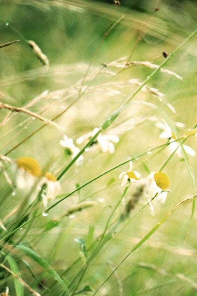 Sweet Sweet sweet | Самара