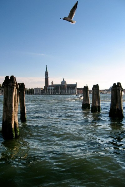 Karina Kaira | Санкт-Петербург