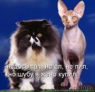 №15 Светлана Квач 01.08: профиль, фото, статус - ВКонтакте