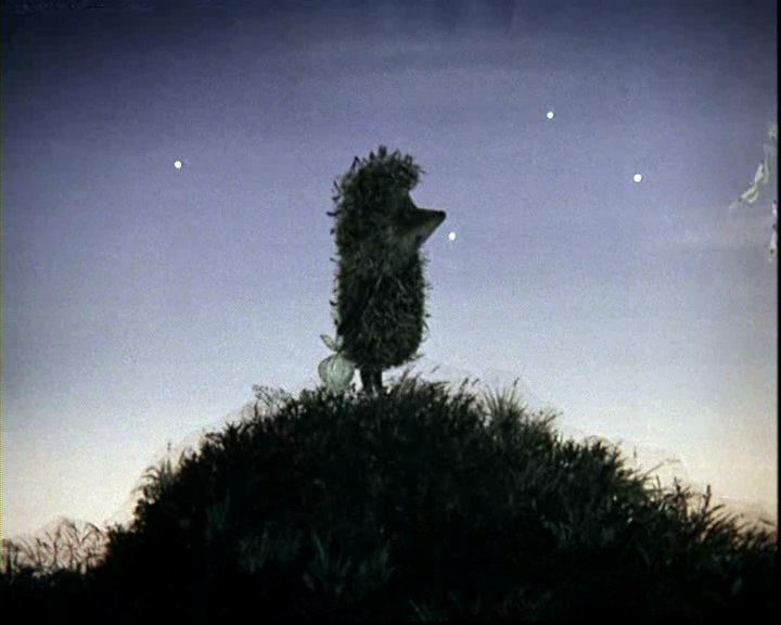 Rustam Karimov Айратович | Казань